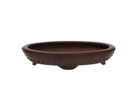 Vaso Shuiming 12,3 cm