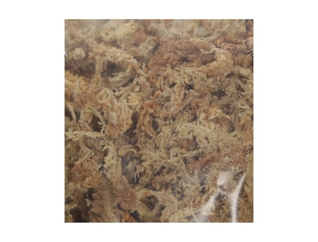 Sphagnum - 1,6 L 2