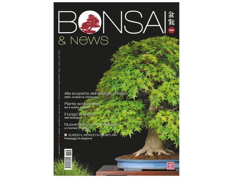 BONSAI & news n. 156 - Luglio-Agosto 2016