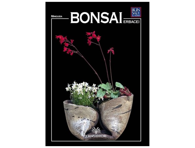 Bonsai erbacei - Miniguida BONSAI & news