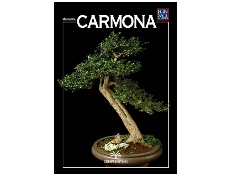 Carmona - Miniguida BONSAI & news
