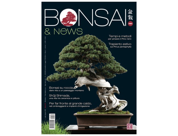 BONSAI & news 180 - Juillet-Aout 2020