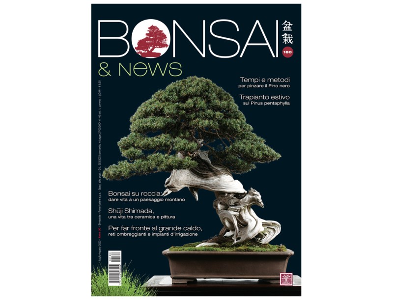 BONSAI & news 180 - July-August 2020