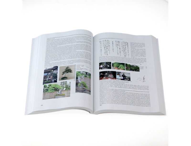 bonsai-davanguardia-di-massimo-bandera-libro