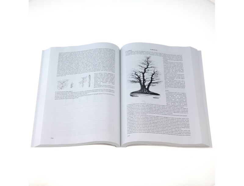 bonsai-davanguardia-di-massimo-bandera-libro