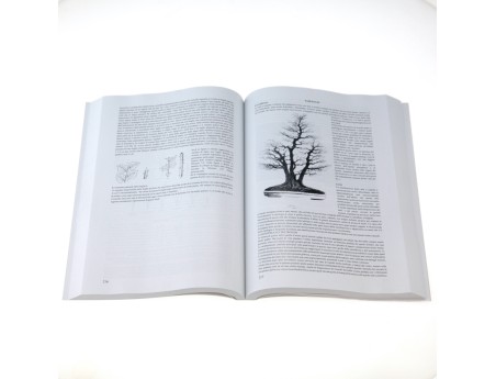 bonsai-davanguardia-di-massimo-bandera-libro