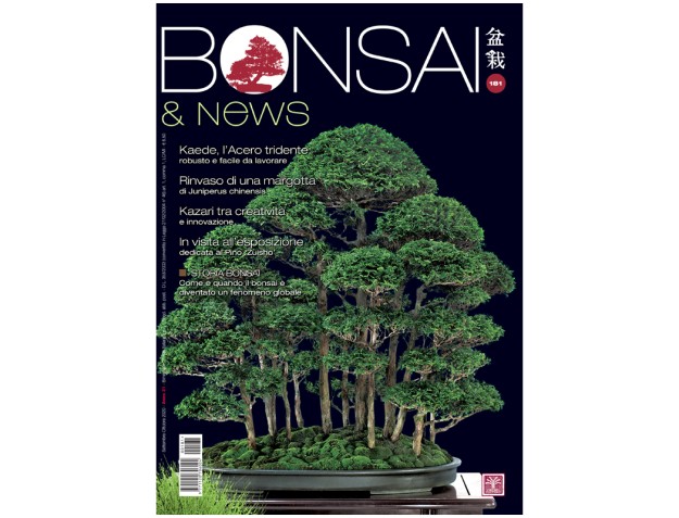 BONSAI & news 181 - September-October 2020