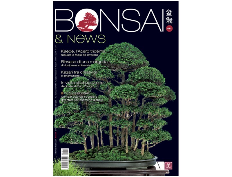 BONSAI & news 181 - Septembre-Octobre 2020