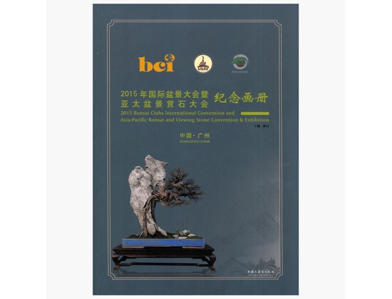 Catalogo BCI 2015