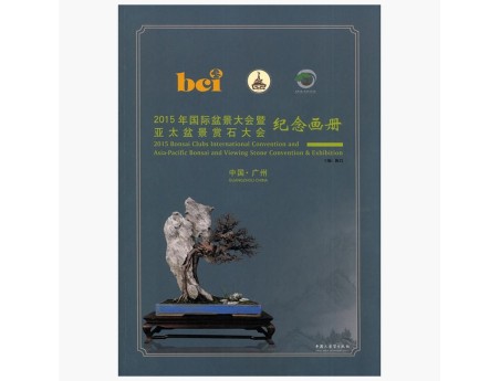 Catalogo BCI 2015