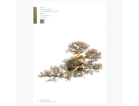 Catalogo BCI 2015