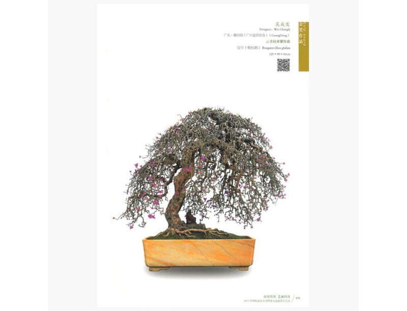 Catalogo BCI 2015
