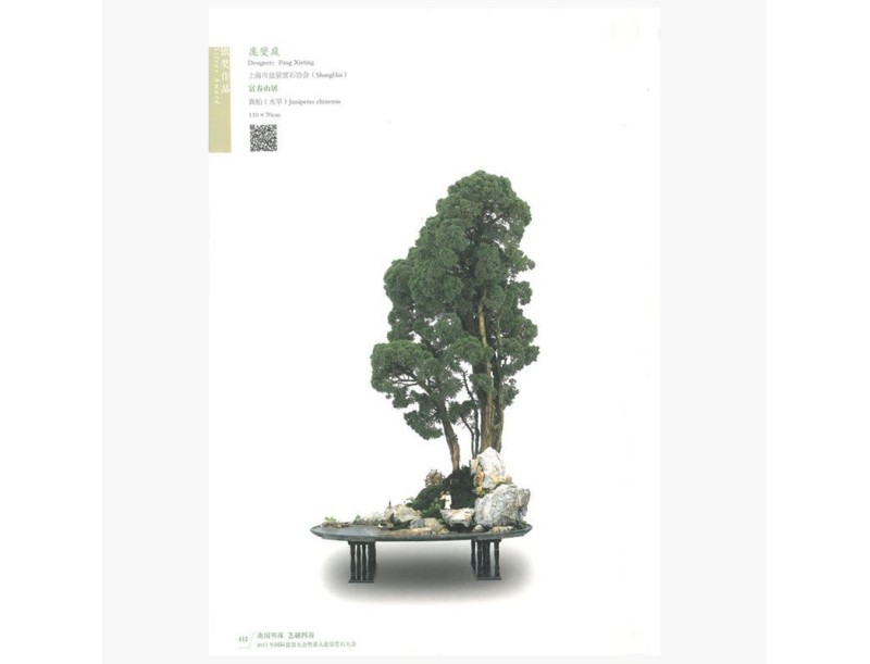 Catalogo BCI 2015