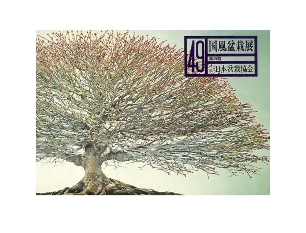 Catalogo Kokufu Bonsai Exhibition 49 - 1975 Vintage Edition