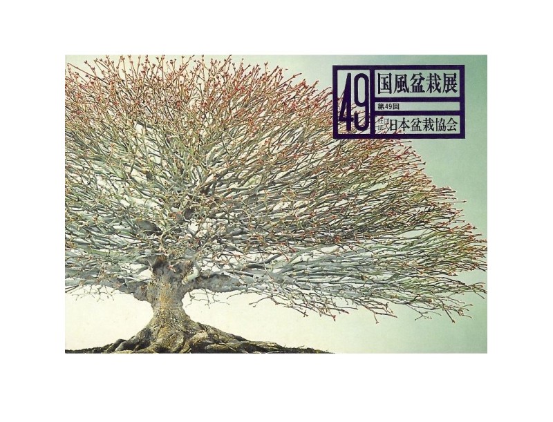 Catalogo Kokufu Bonsai Exhibition 49 - 1975 Vintage Edition