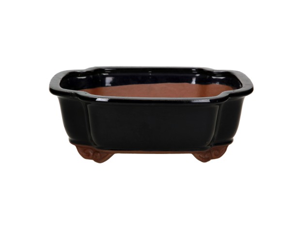 Pot 31 cm