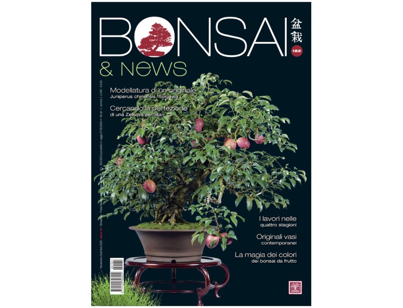 BONSAI & news 182 - November-December 2020