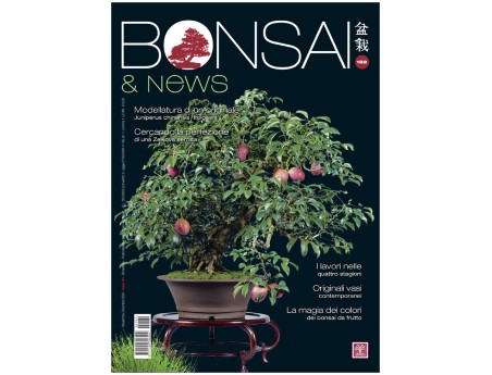 BONSAI & news 182 - Novembre - Dicembre 2020