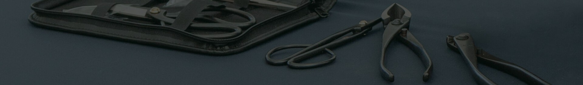 Bonsai tools for looking after your bonsai