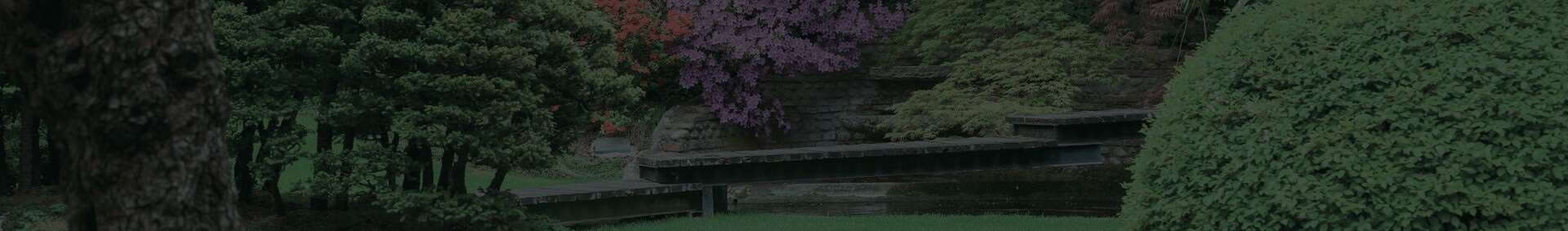 Japanese gardens