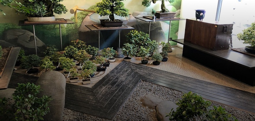 Crespi Bonsai Milano