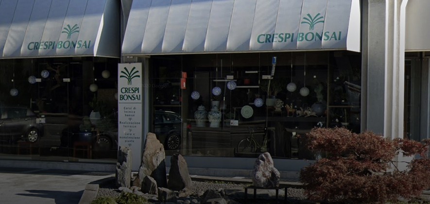 Crespi Bonsai Brescia