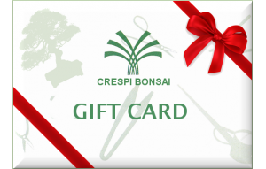 
			                        			Gcard-CB
