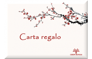 
			                        			GiftCard-Prunus-IT