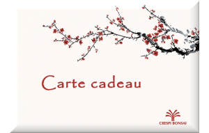 
			                        			GiftCard-Prunus-FR
