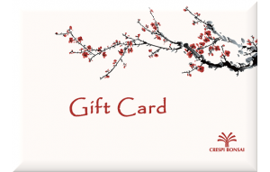 
			                        			GiftCard-Prunus-EN