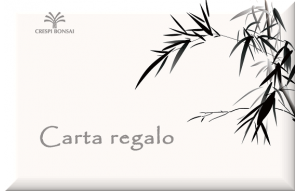 
			                        			GiftCard-Bambu-IT