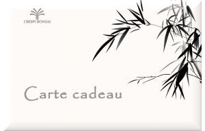 
			                        			GiftCard-Bambu-FR