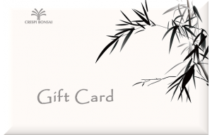 
			                        			GiftCard-Bamboo-EN