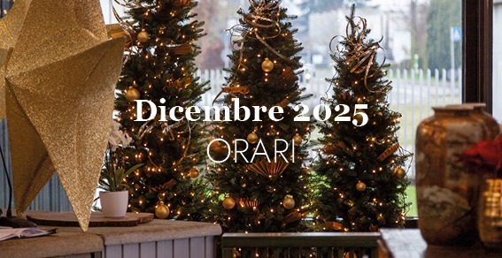 Orari dicembre 2025